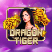 Dragon Tiger fairplay app live casino