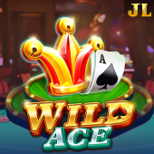 Wild Ace fairplay app slot